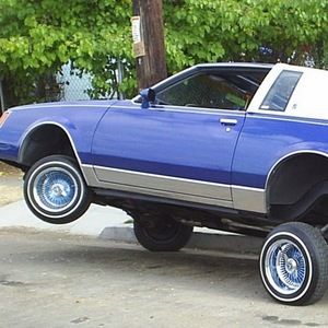 Meet your Posher, Otto